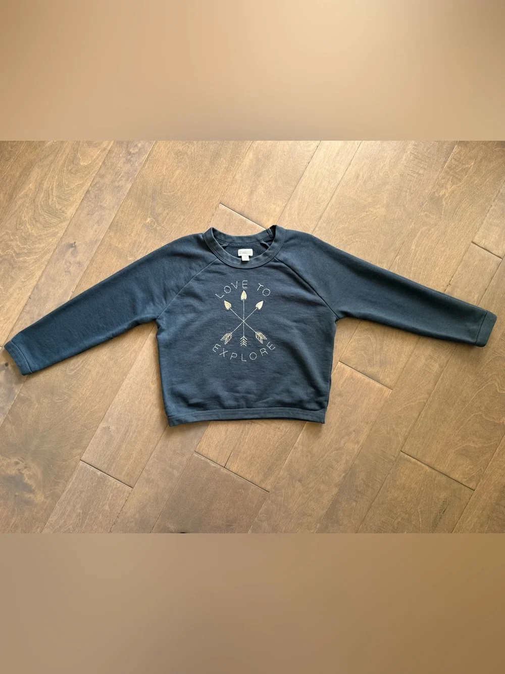 Gymboree “love explore”